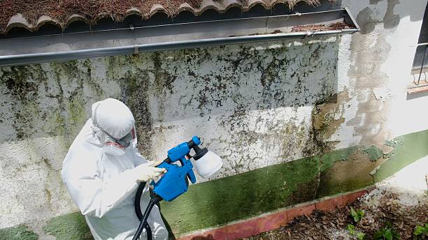 Mold Remediation service in Oak Ridge, Oak Ridge, FL